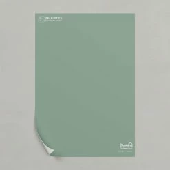 Dunelm Sage Matt Emulsion Paint -Hot Sale rugs Shop 30741193 alt01