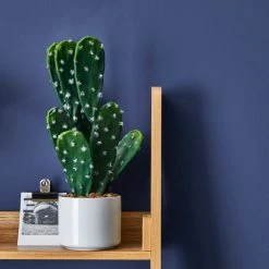 Dunelm Space Blue Matt Emulsion Paint -Hot Sale rugs Shop 30741197 alt03