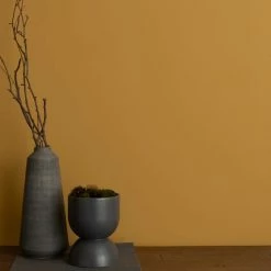 Dunelm Old Gold Eggshell Emulsion Paint -Hot Sale rugs Shop 30741223 alt03