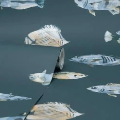 Dunelm Watercolour Fish Wallpaper -Hot Sale rugs Shop 30757402 alt02