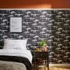 Natural History Museum Fossil Forager Black Wallpaper -Hot Sale rugs Shop 30757433