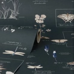 Natural History Museum Nature's Journal Navy Wallpaper -Hot Sale rugs Shop 30783031 alt02