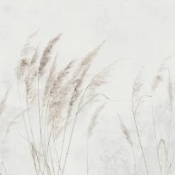 Dunelm Pampas Grass Mural 11 Dunelm Pampas Grass Mural -Hot Sale rugs Shop 30792516 alt04